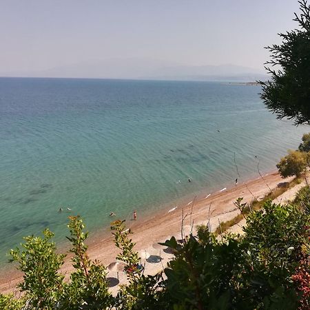 Koralli Sea View Hotel Kato Achaia Eksteriør billede